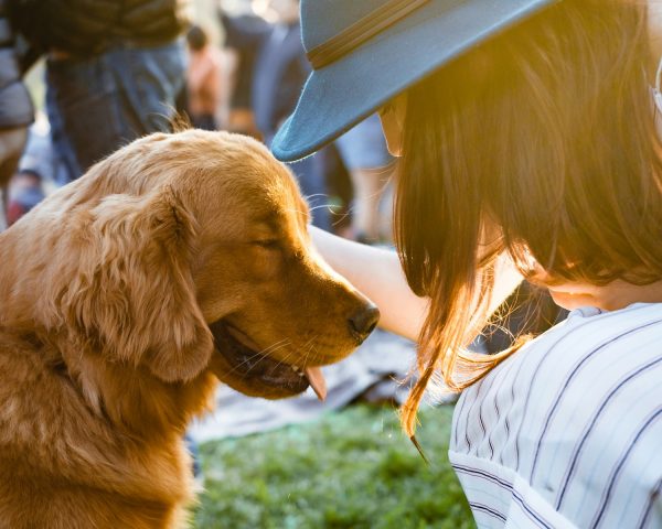 Santé, transport, alimentation : quelles précautions pour voyager avec son animal ?